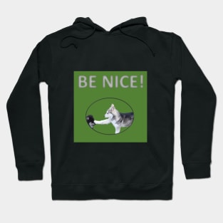 Be Nice! Hoodie